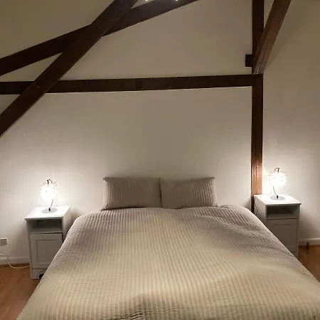Charmerende Lejlighed I Centrum, Gratis Parkering Apartment Odense